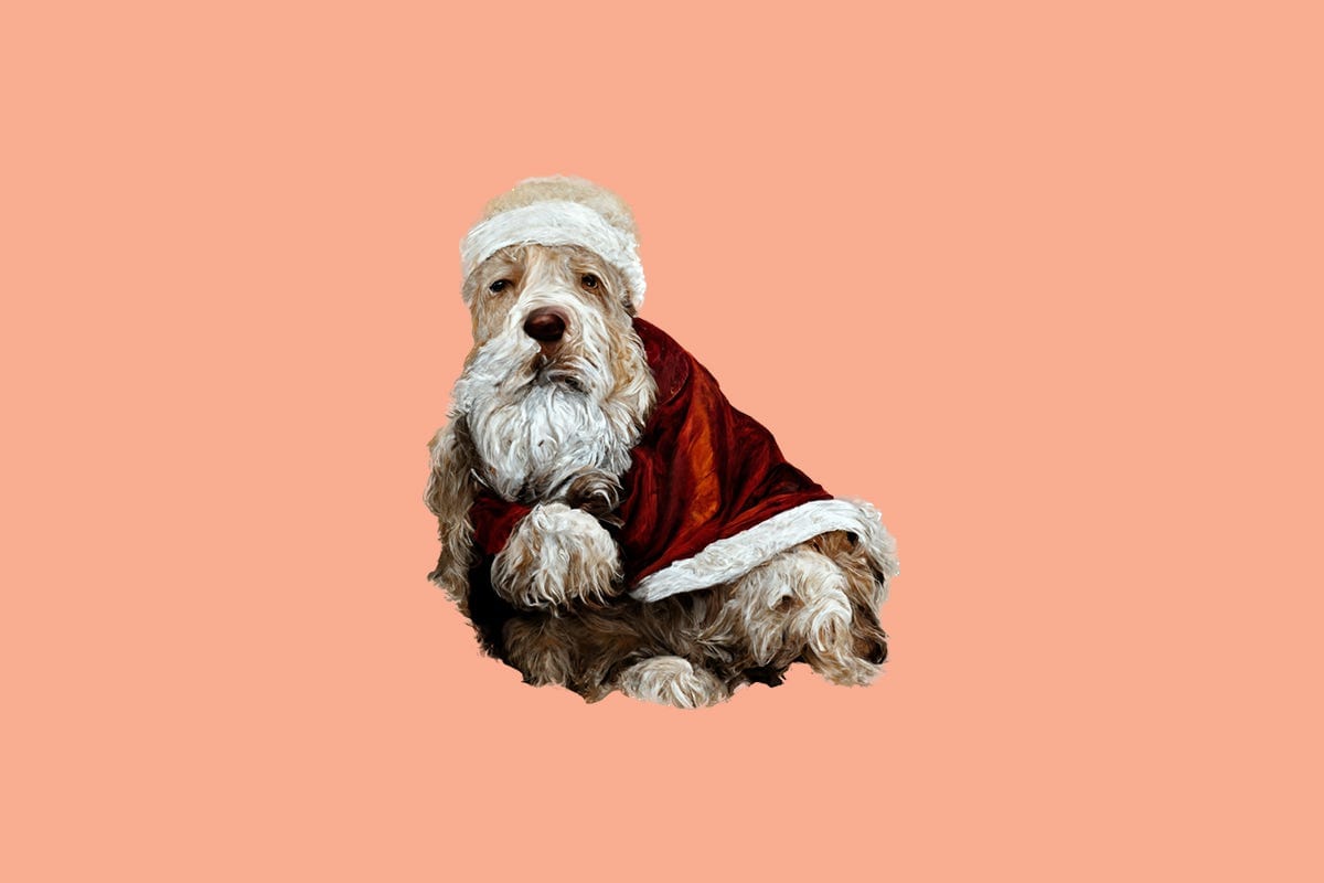 Listen to me show me santa’s dogs | Simply Ranked