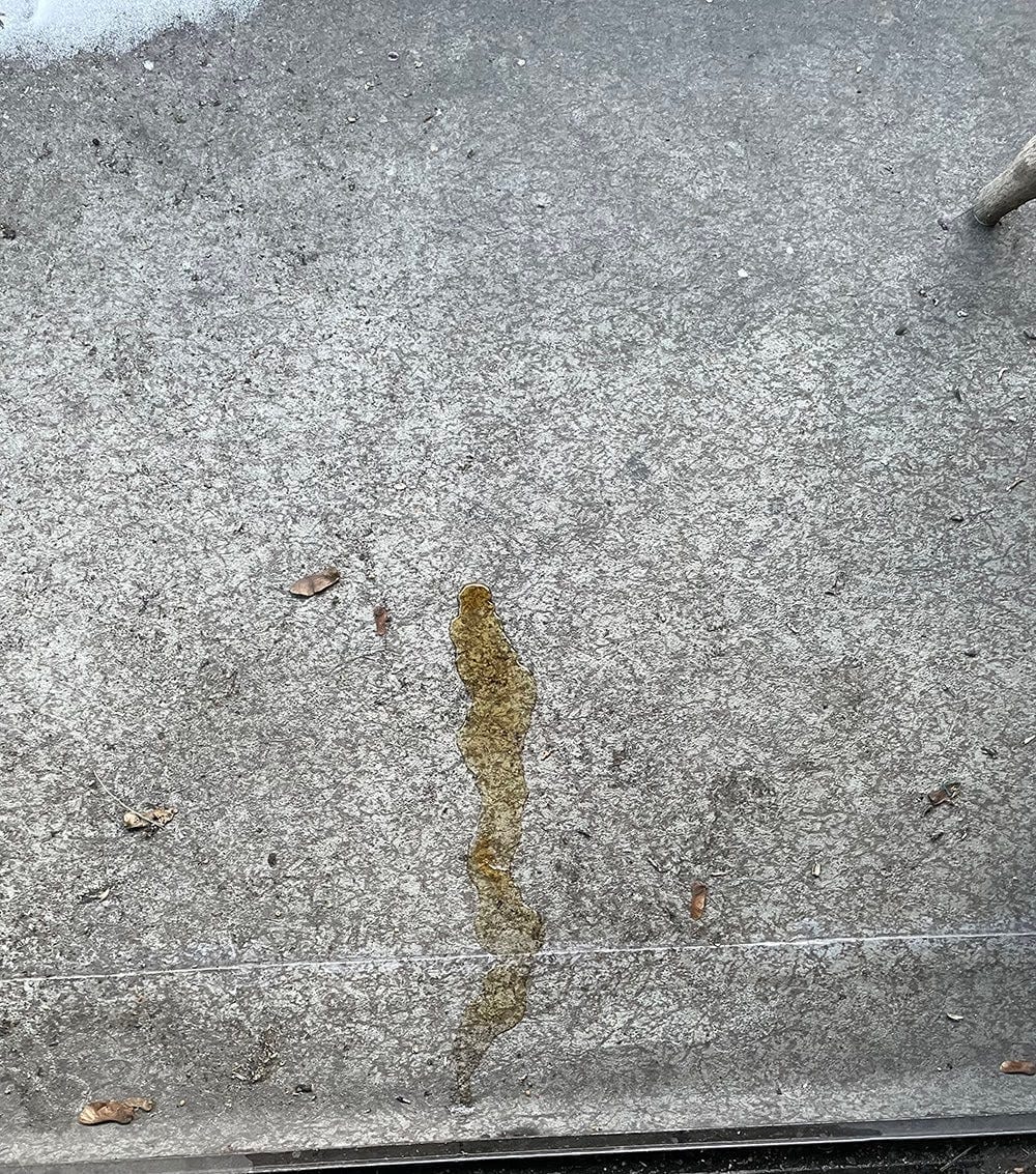 Who pissed on my balcony?