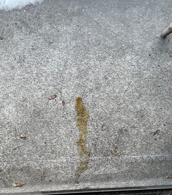 Who pissed on my balcony?